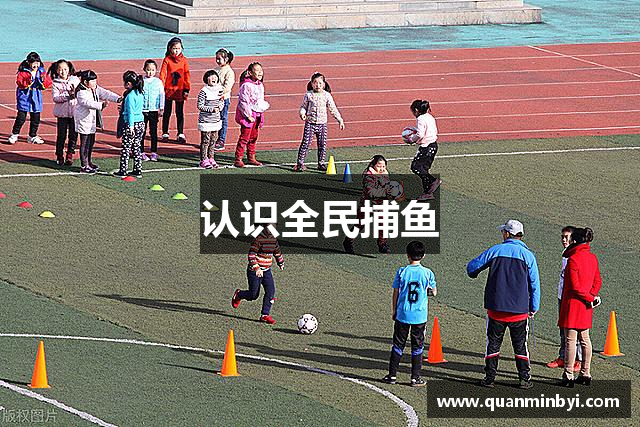 认识全民捕鱼